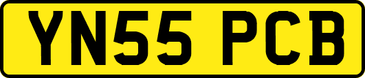 YN55PCB