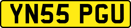 YN55PGU