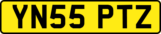YN55PTZ
