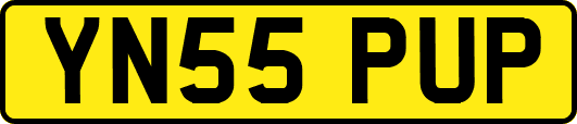 YN55PUP