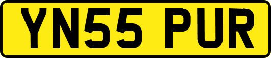 YN55PUR