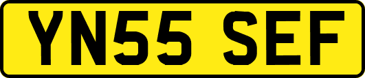 YN55SEF
