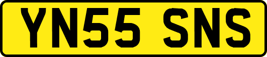 YN55SNS