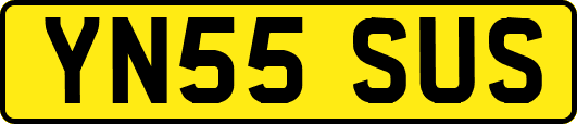 YN55SUS