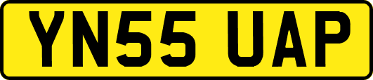 YN55UAP