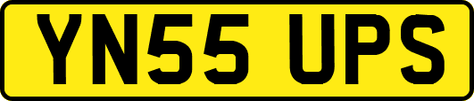 YN55UPS