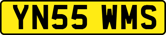 YN55WMS