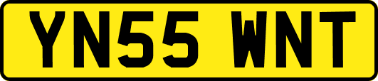 YN55WNT