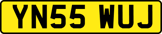 YN55WUJ