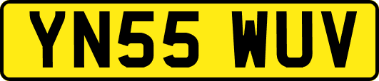 YN55WUV