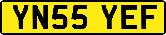 YN55YEF