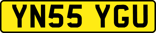 YN55YGU