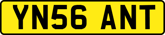 YN56ANT