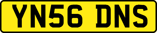 YN56DNS