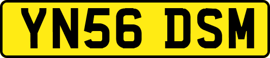 YN56DSM