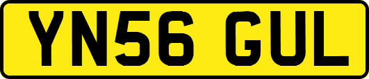 YN56GUL