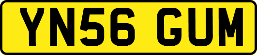 YN56GUM
