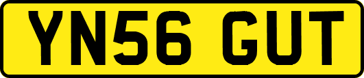 YN56GUT