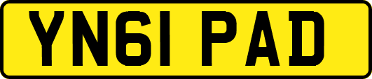 YN61PAD