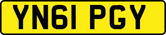 YN61PGY