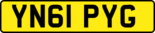 YN61PYG