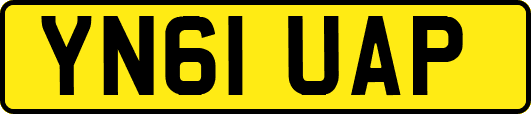 YN61UAP