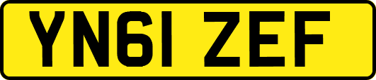 YN61ZEF