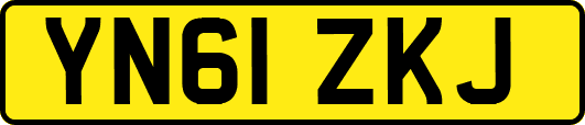 YN61ZKJ
