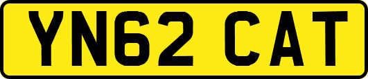YN62CAT