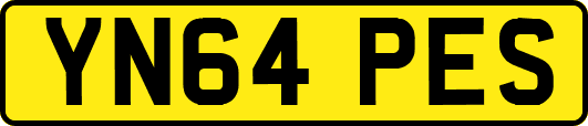 YN64PES