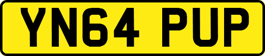 YN64PUP