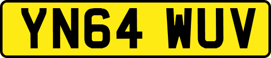YN64WUV