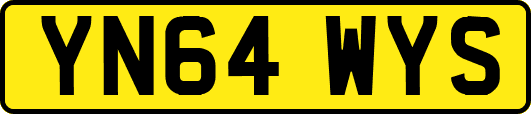 YN64WYS