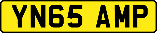 YN65AMP