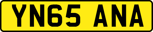 YN65ANA