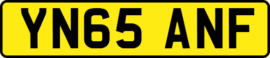 YN65ANF