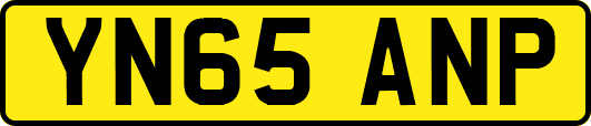 YN65ANP
