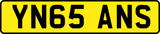 YN65ANS