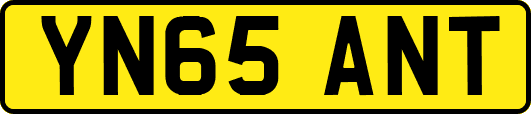 YN65ANT