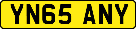 YN65ANY