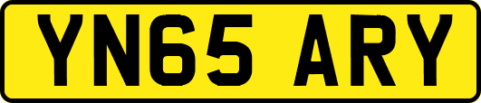 YN65ARY