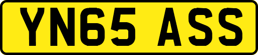 YN65ASS