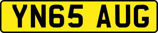 YN65AUG