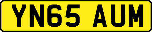 YN65AUM