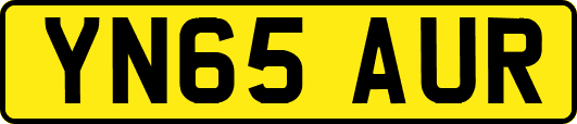 YN65AUR