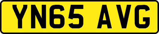 YN65AVG