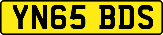 YN65BDS