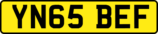 YN65BEF