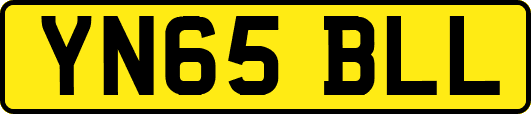 YN65BLL