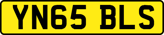 YN65BLS